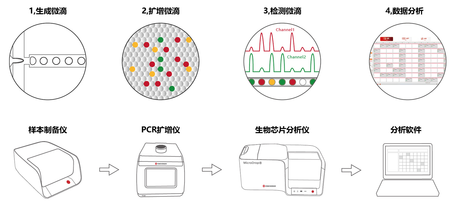 檢測流程