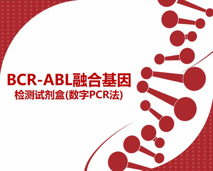 BCR-ABL融合基因檢測shi劑盒